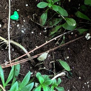 Meet your Posher, Cathie